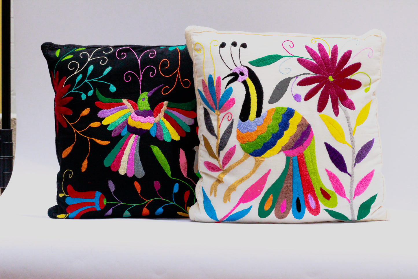 Set 2 Pzas Cojines Decorativos